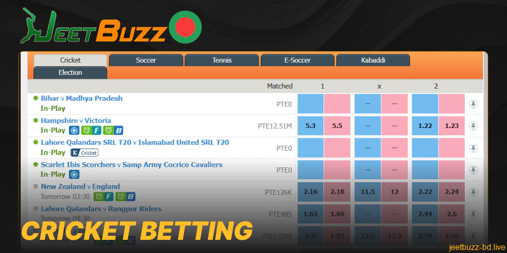 Cricket betting options in Jeetbuzz Bangladesh